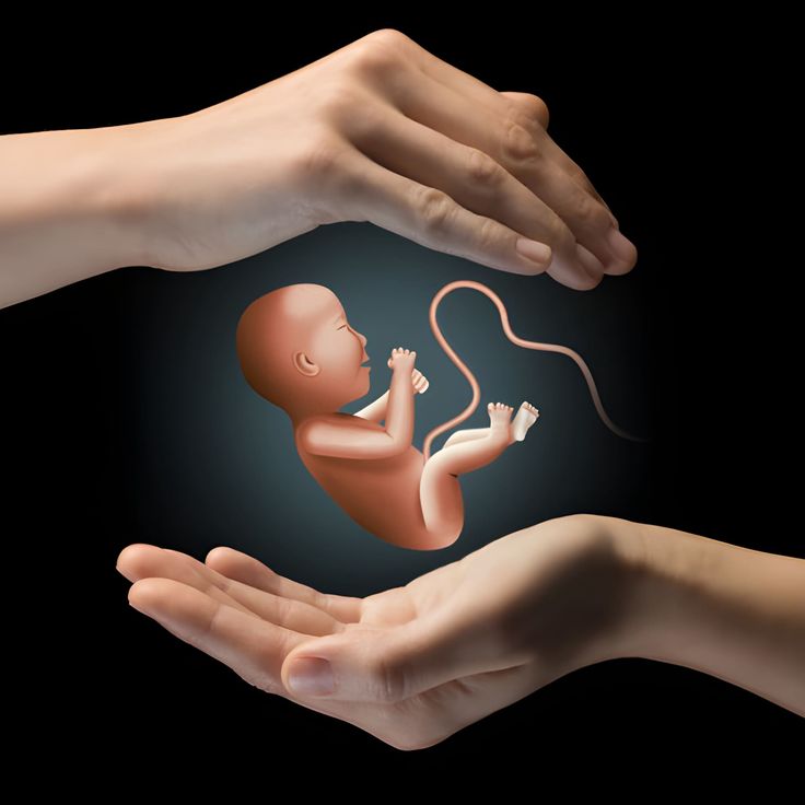 Caring hands protecting a baby, representing personalised fertility care in Mohali